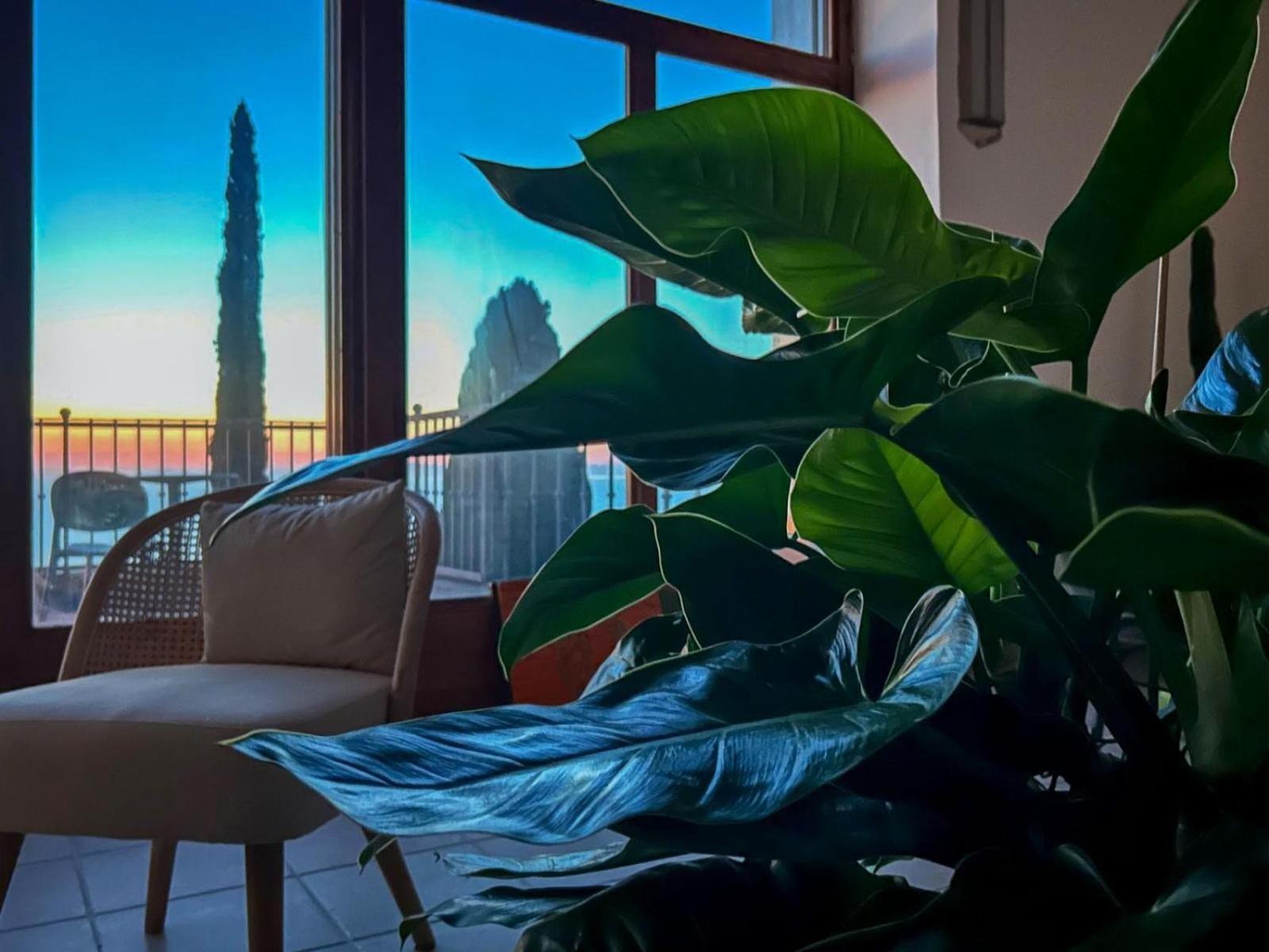 Villa Velta Sea Sunset Porto Santo Stefano  Kültér fotó